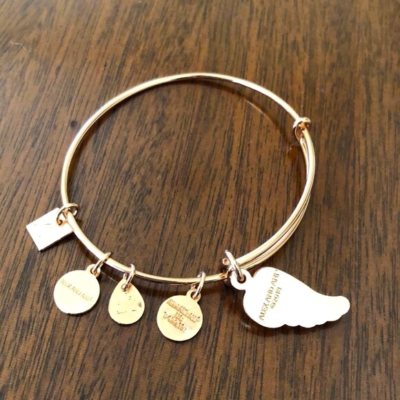 Alex and Ani Guardian Wing Charm Bracelet - Picture 2 of 12